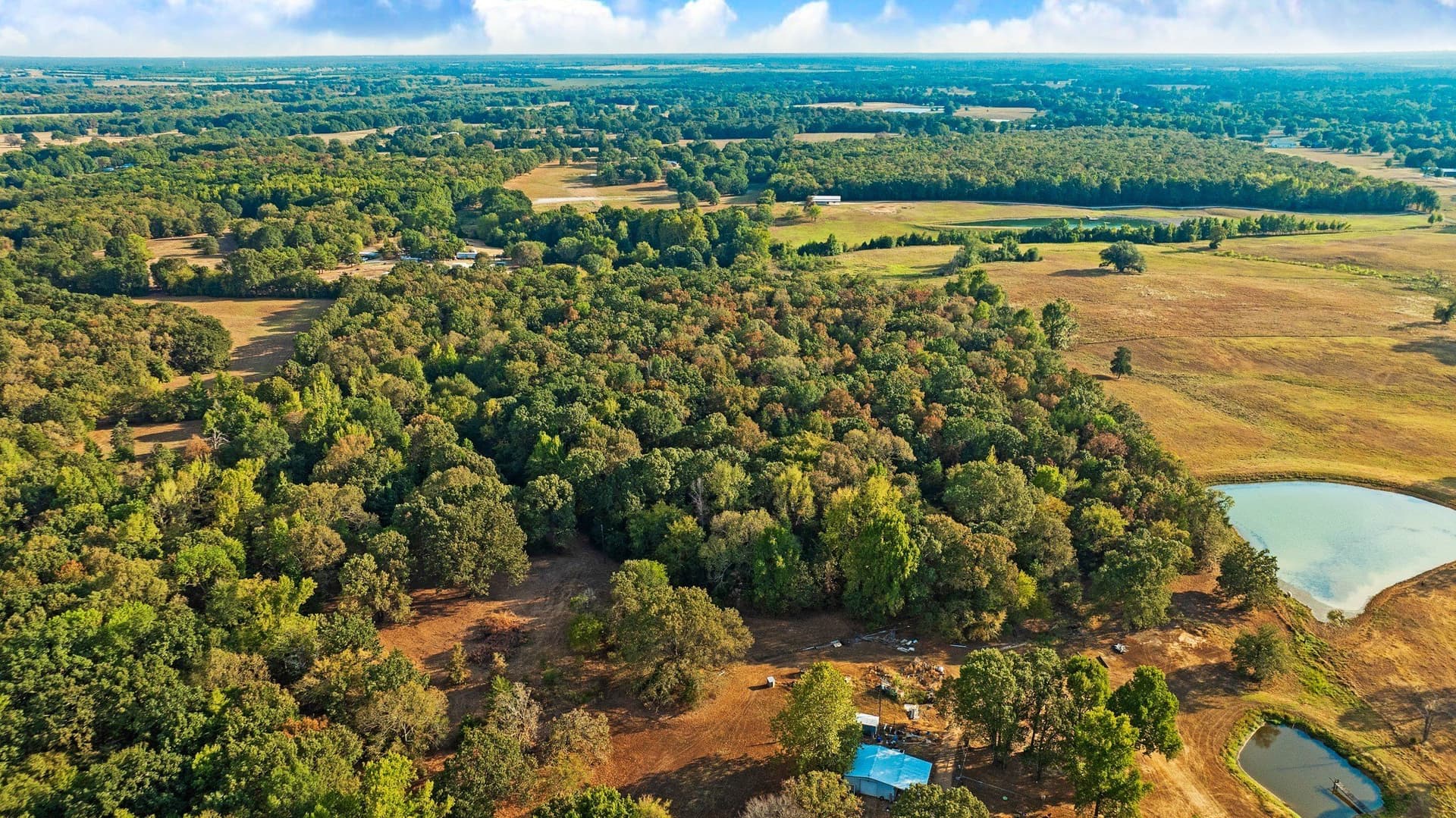 6.65 acres in Lamar County - photo 12