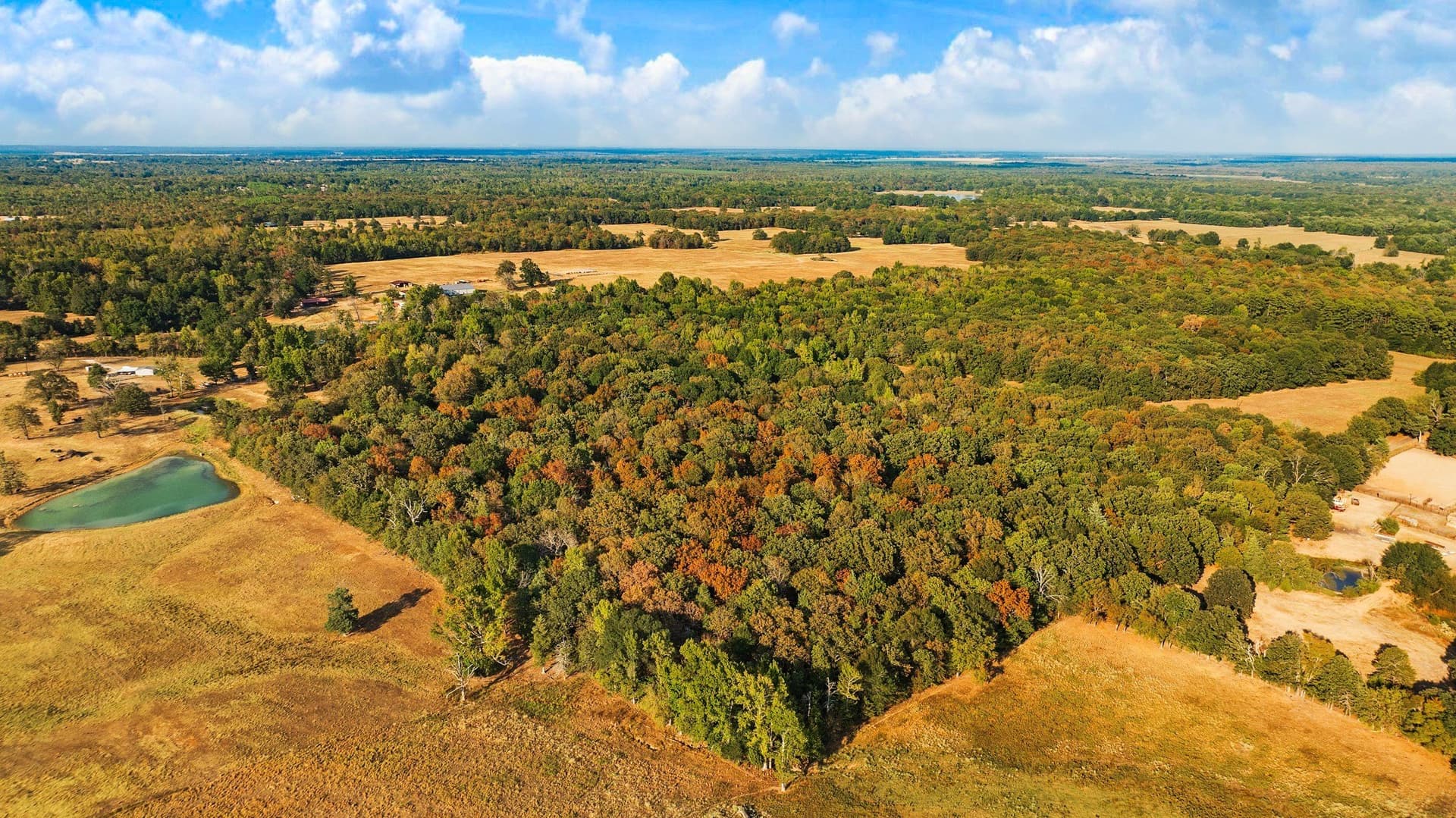 6.65 acres in Lamar County - photo 15