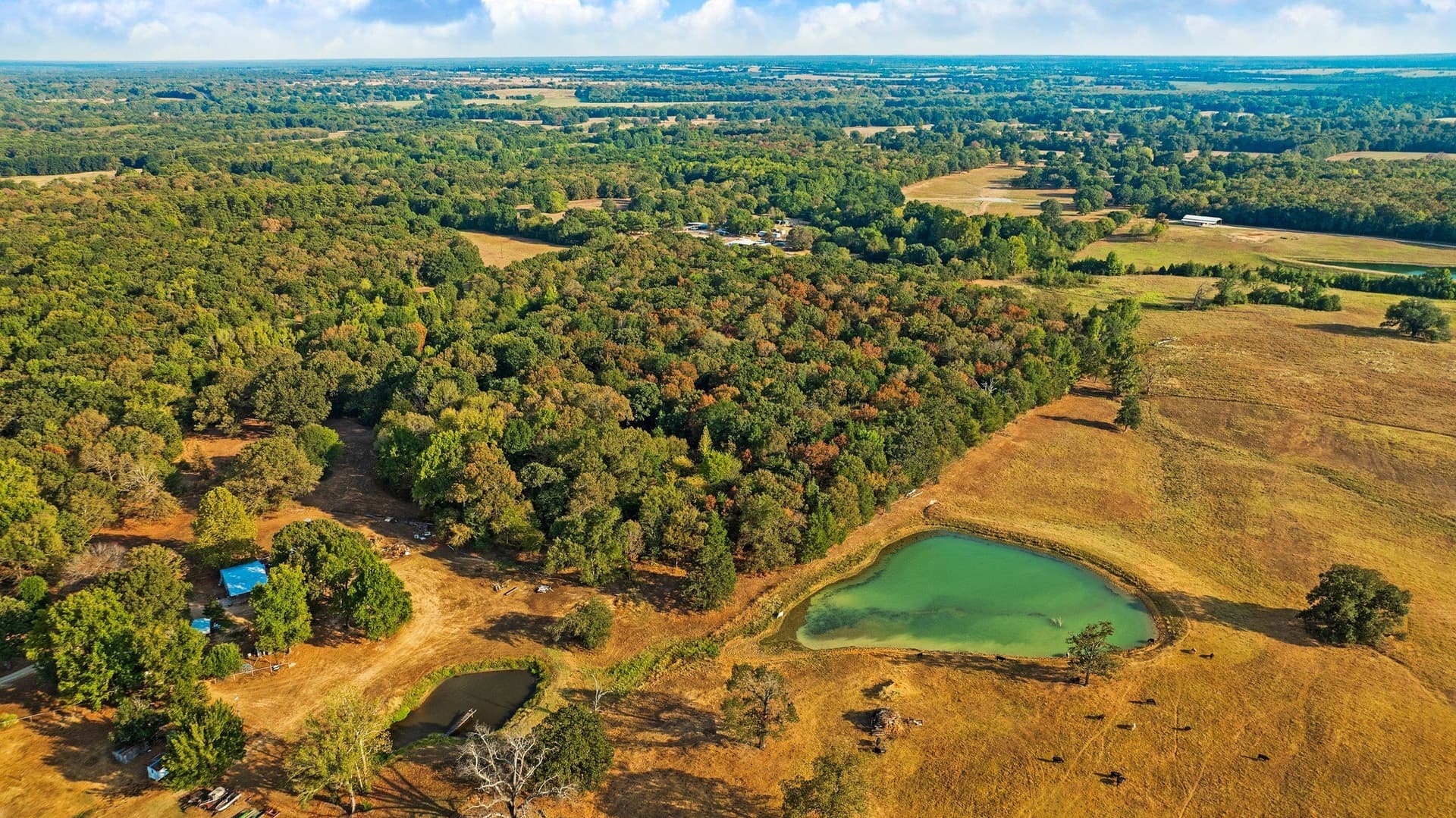 6.65 acres in Lamar County - photo 13