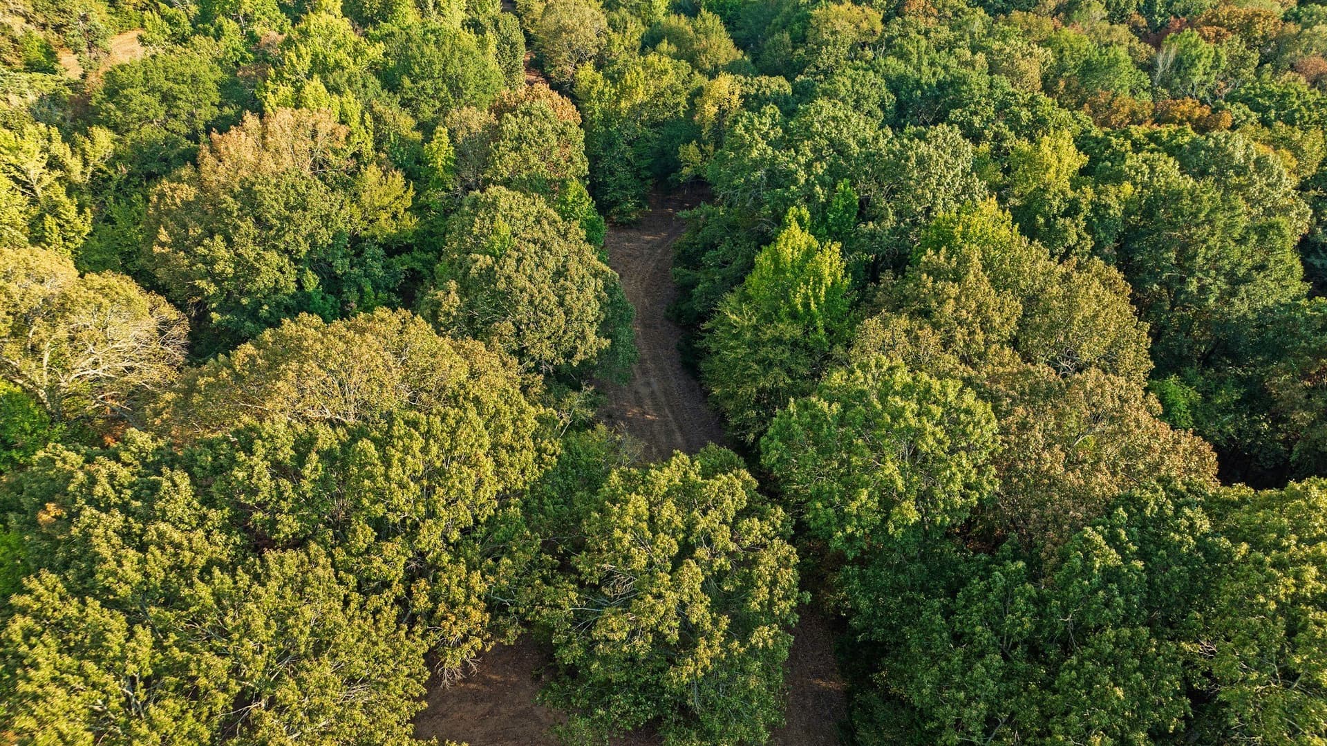 6.65 acres in Lamar County - photo 9