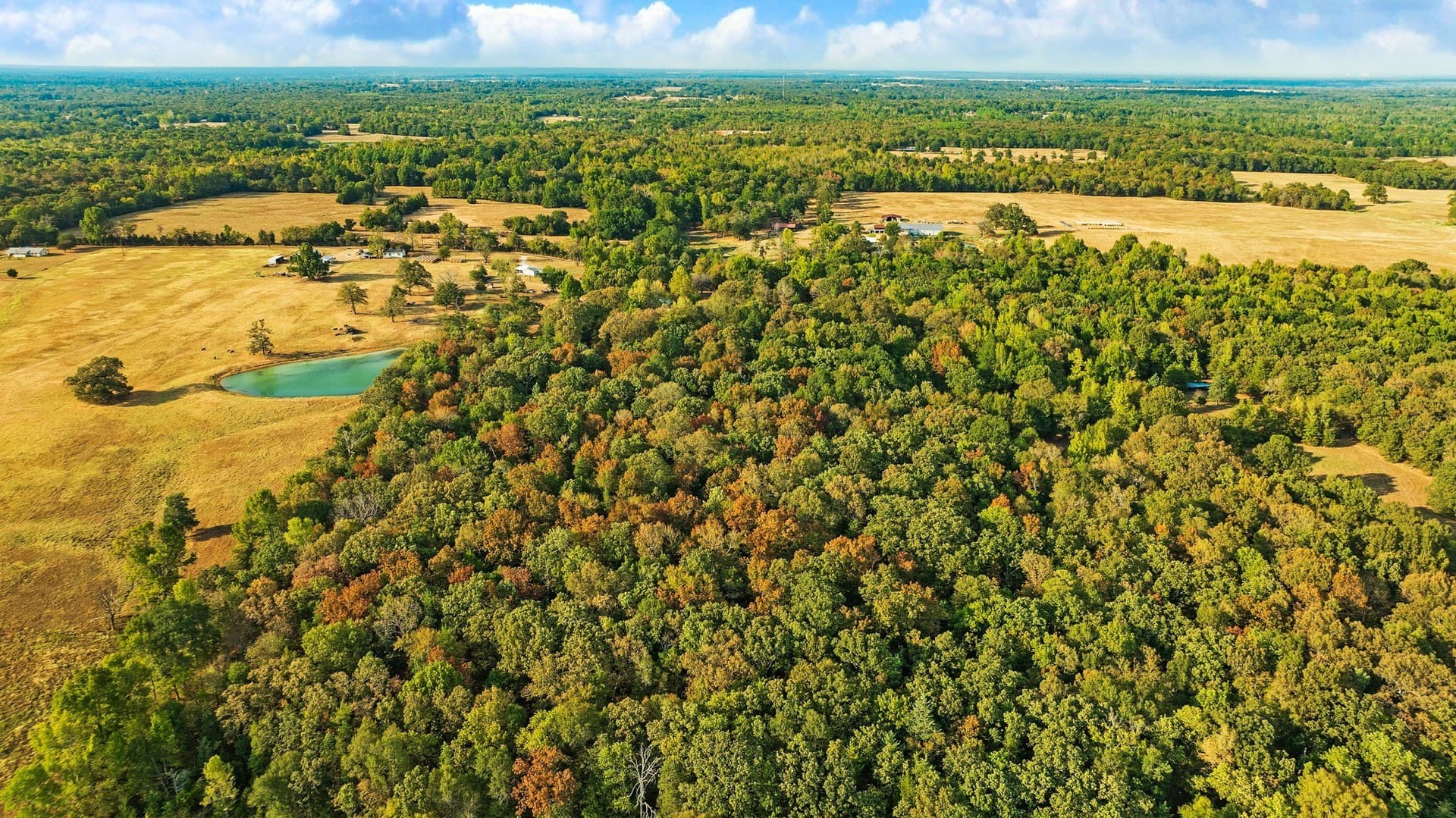 6.65 acres in Lamar County - photo 16