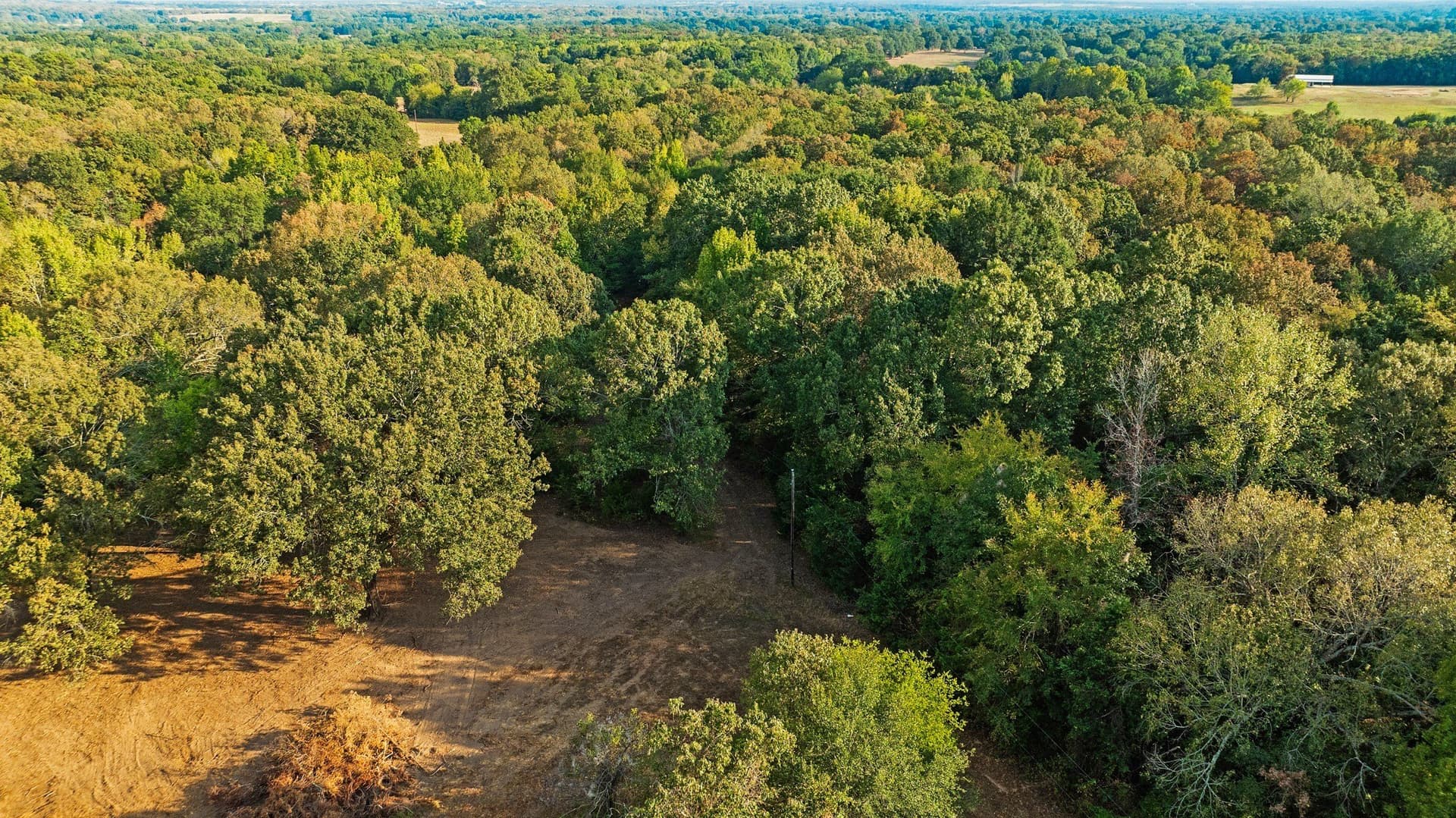 6.65 acres in Lamar County - photo 10