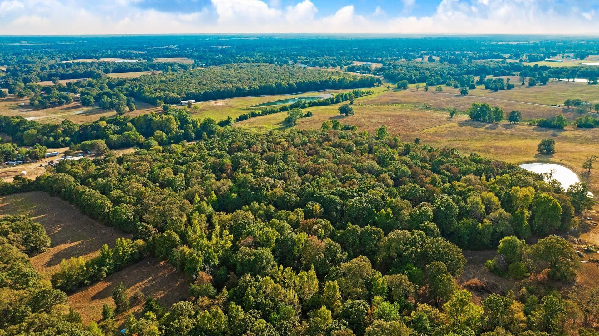 6.65 acres in Lamar County - photo 11