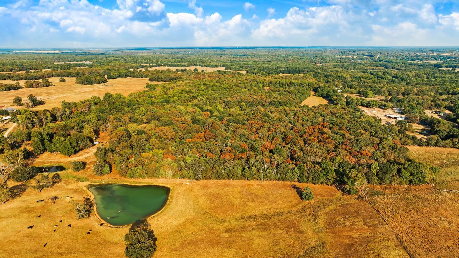 6.65 acres in Lamar County - photo 14