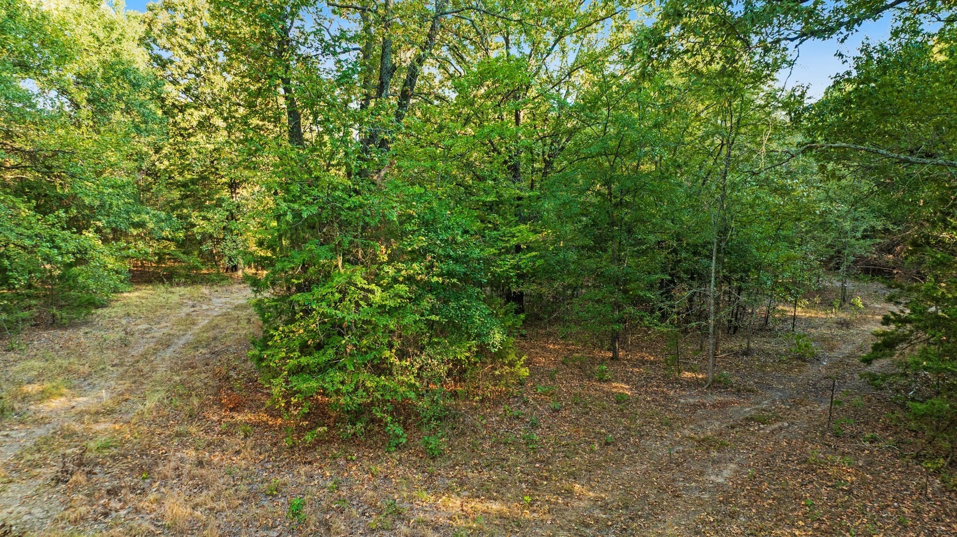 6.65 acres in Lamar County - photo 8