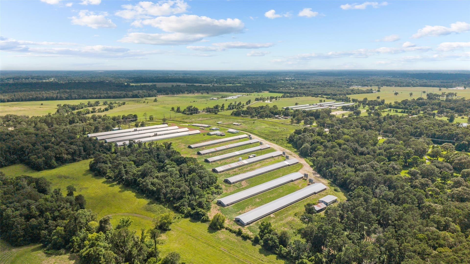 60 acres in Angelina County - photo 8