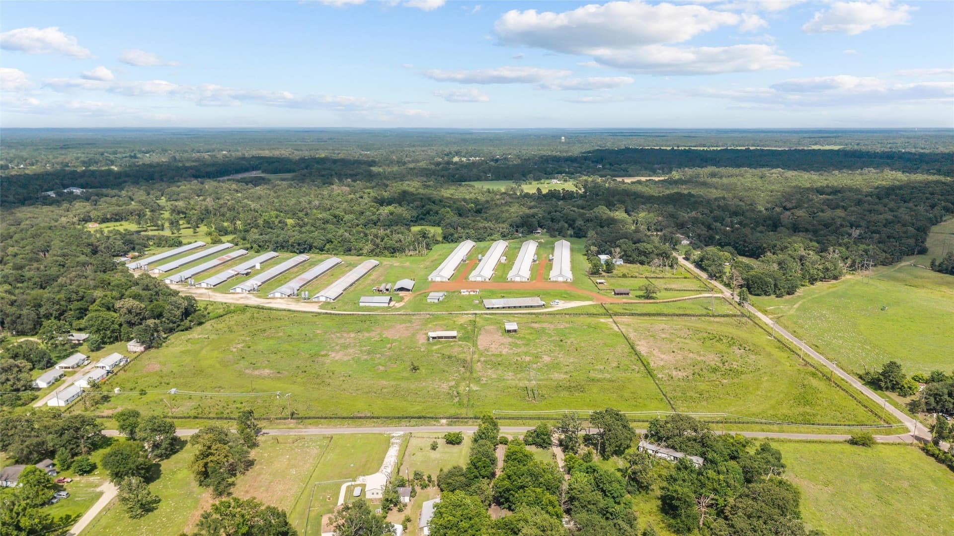60 acres in Angelina County gallery image 4