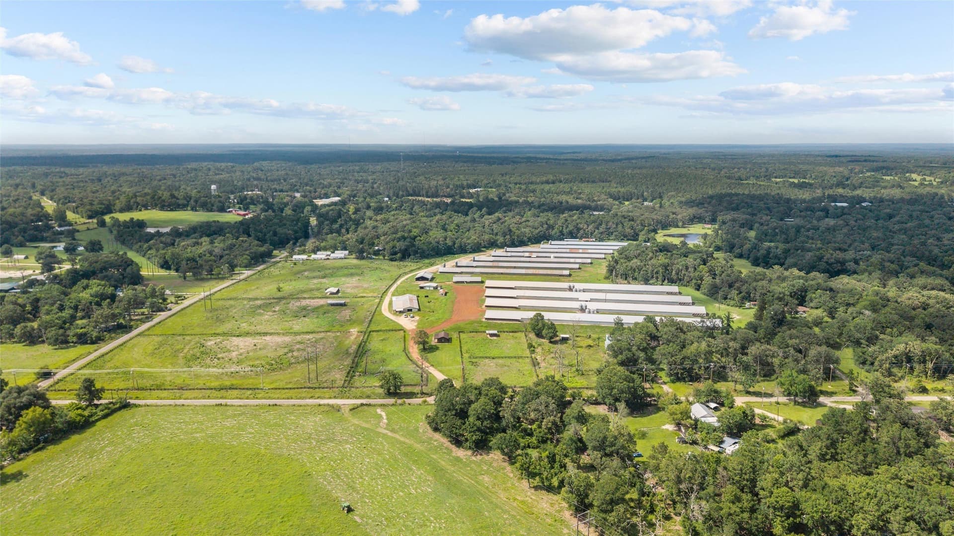 60 acres in Angelina County gallery image 2