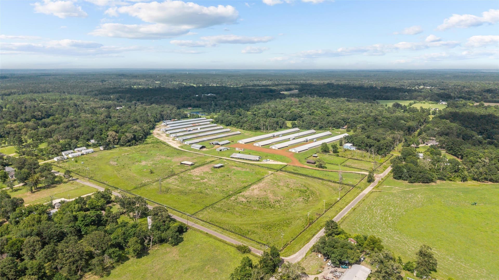 60 acres in Angelina County gallery image 3