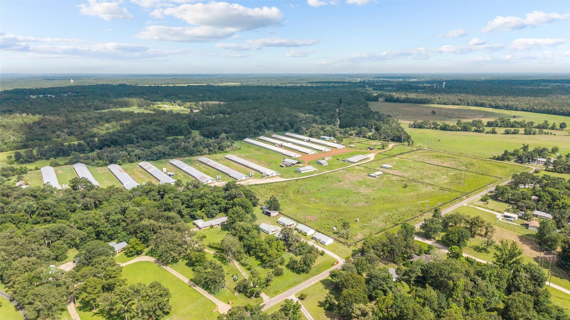 60 acres in Angelina County featured view