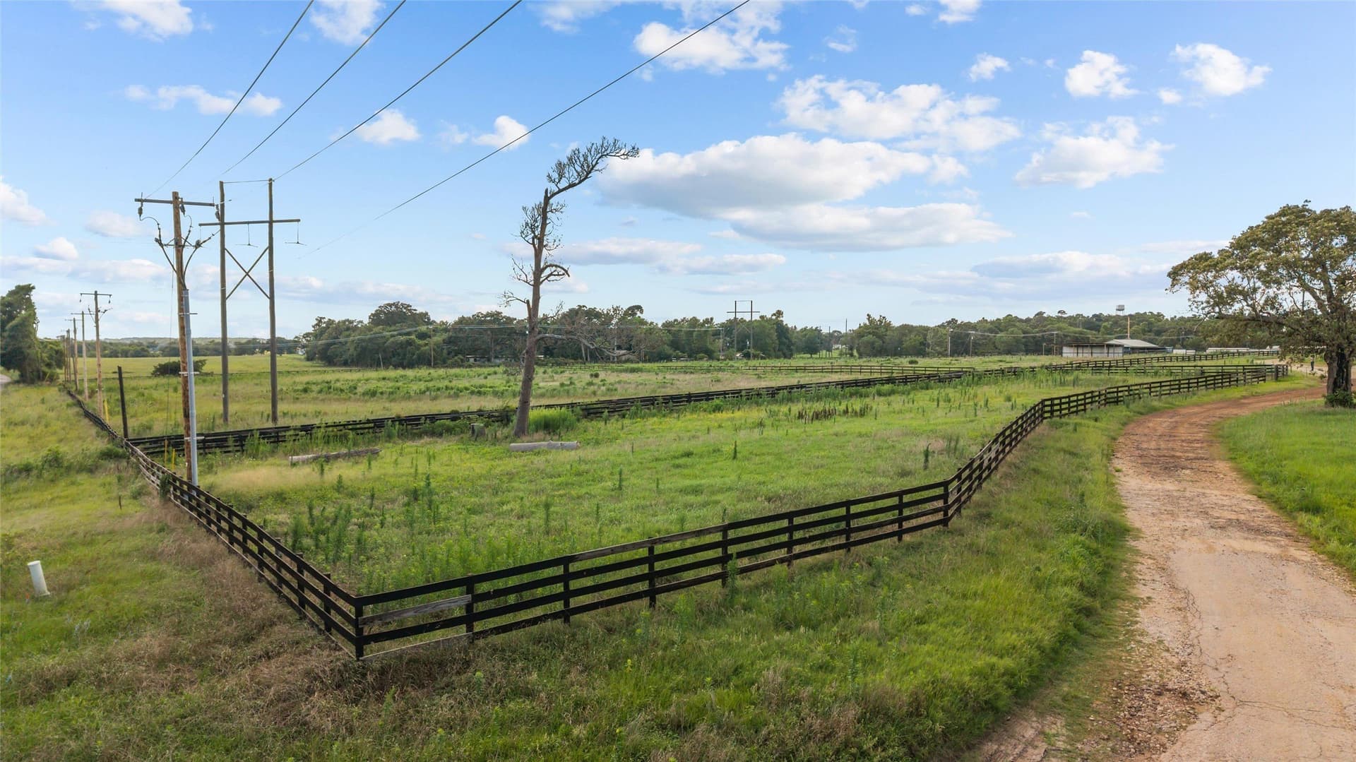 60 acres in Angelina County - photo 11