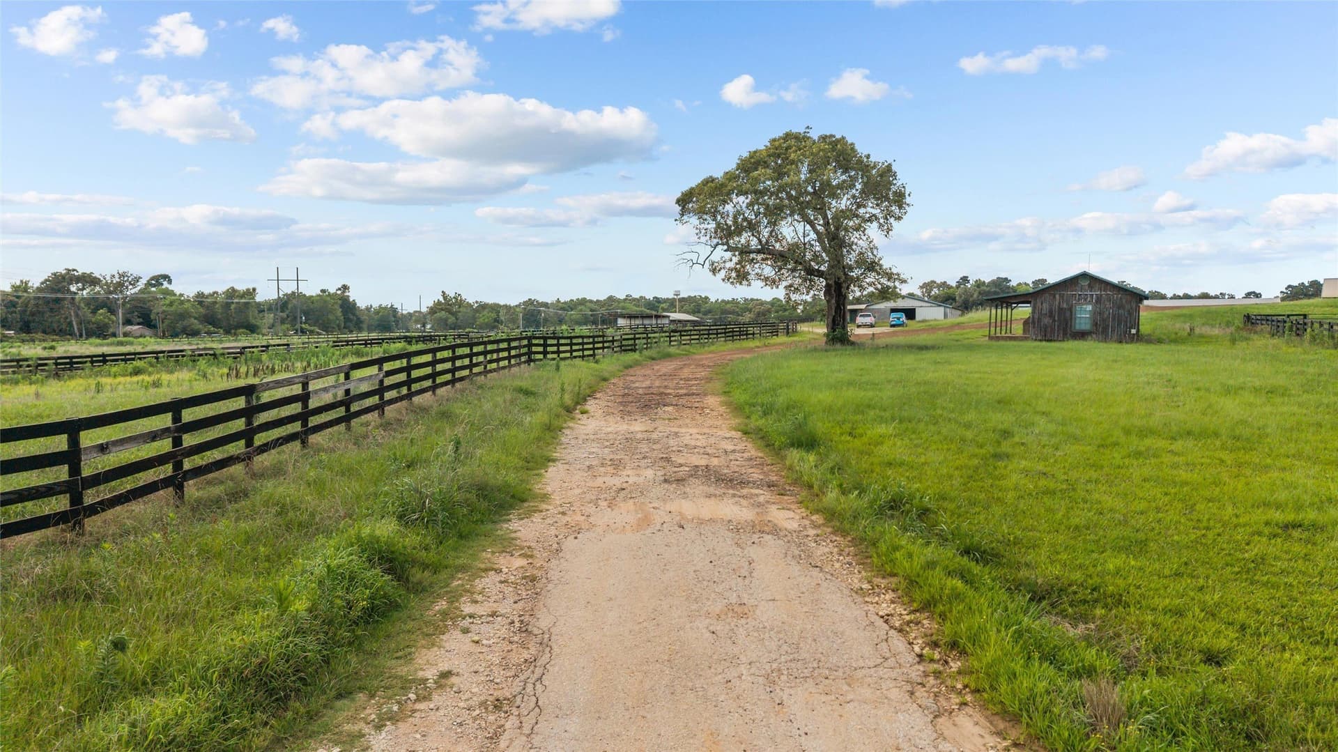 60 acres in Angelina County - photo 10