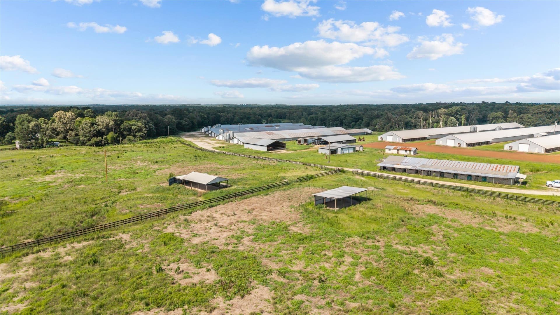 60 acres in Angelina County - photo 12