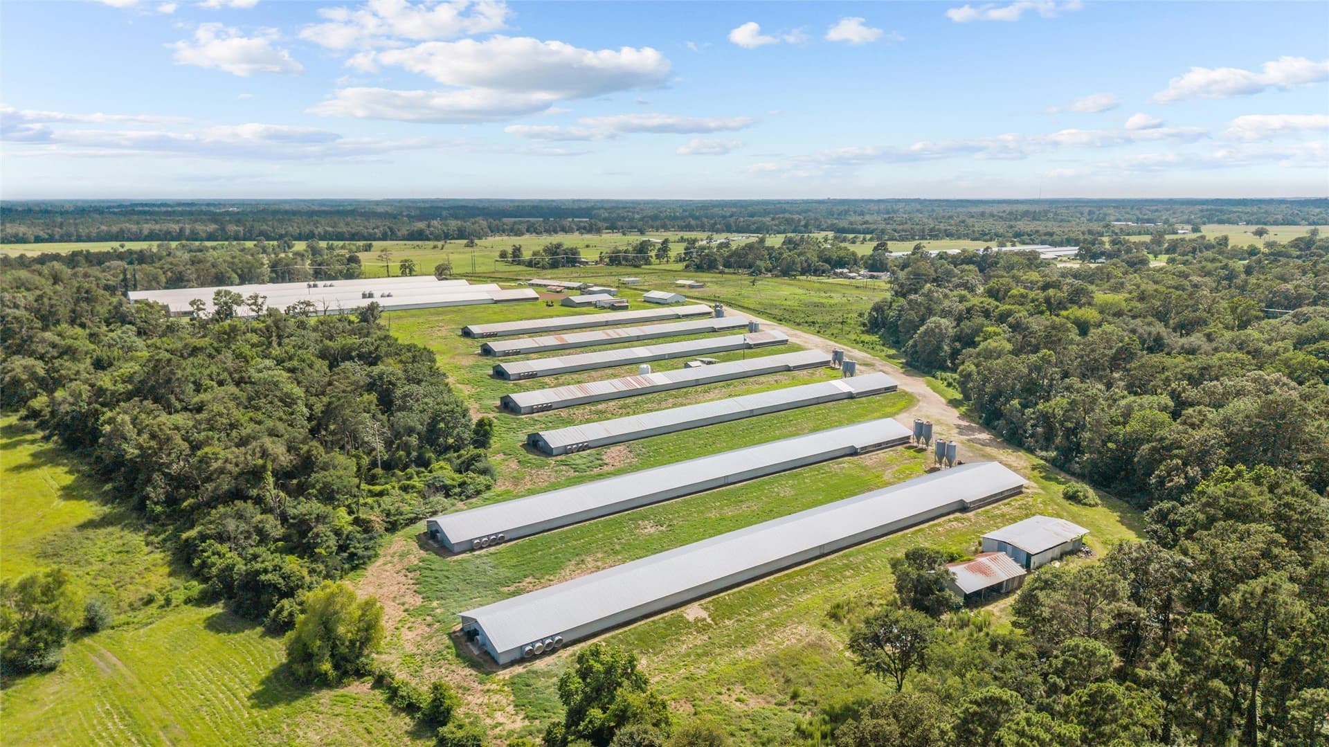 60 acres in Angelina County - photo 7