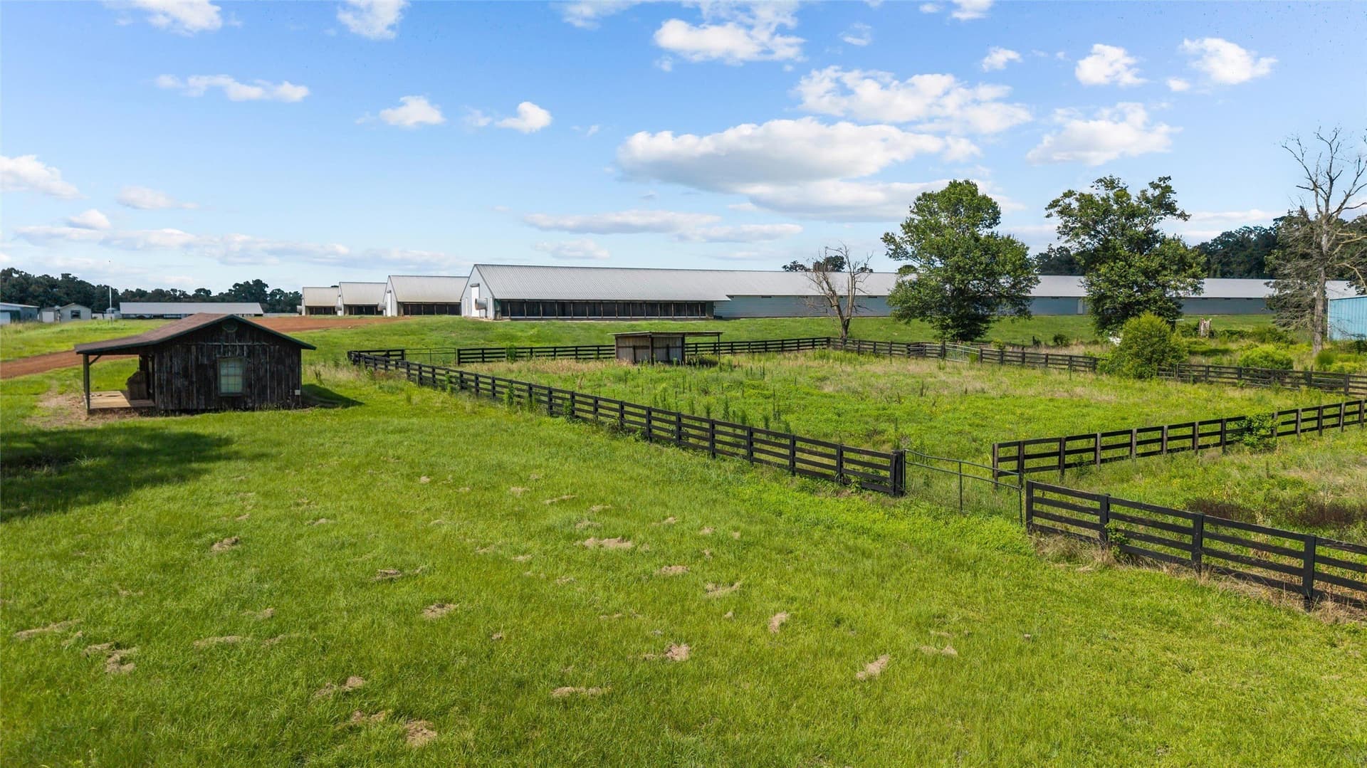 60 acres in Angelina County - photo 9
