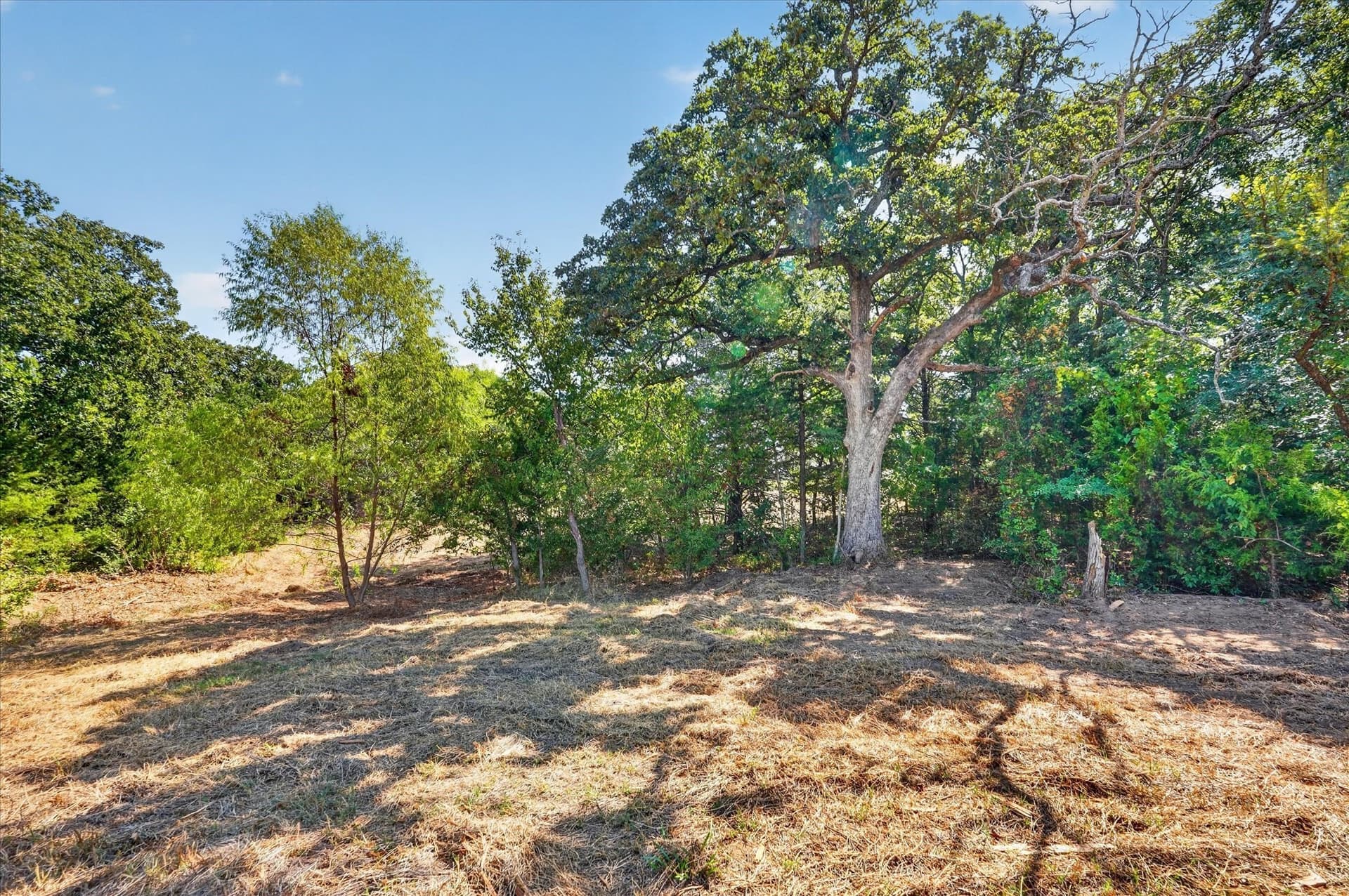 12.55 acres in Cooke County - photo 16
