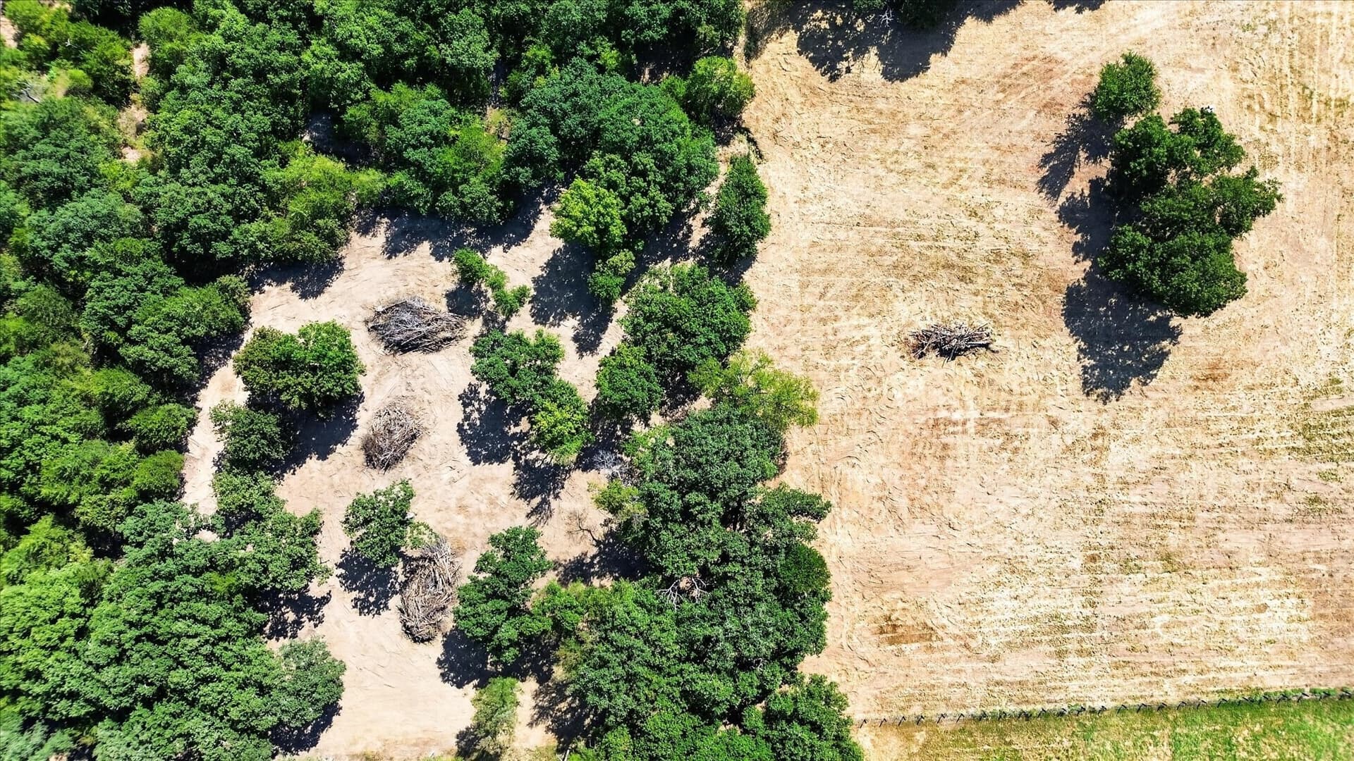 12.55 acres in Cooke County - photo 7