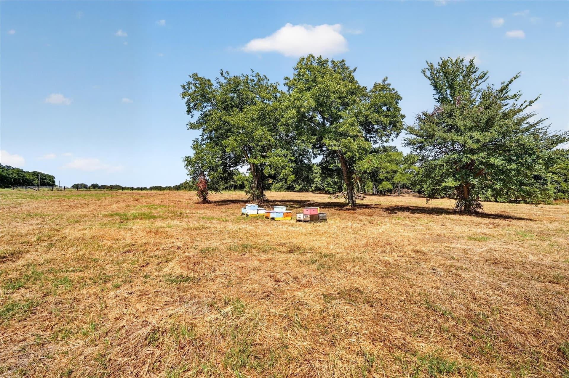 12.55 acres in Cooke County - photo 17