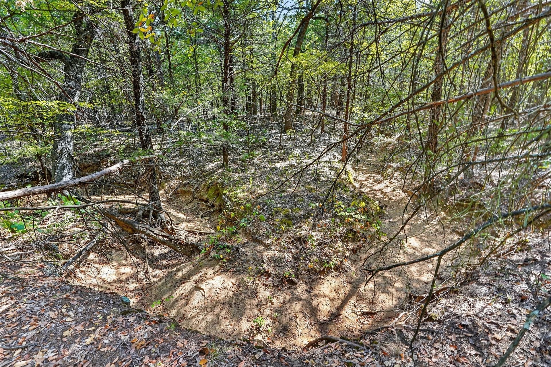 12.55 acres in Cooke County - photo 11