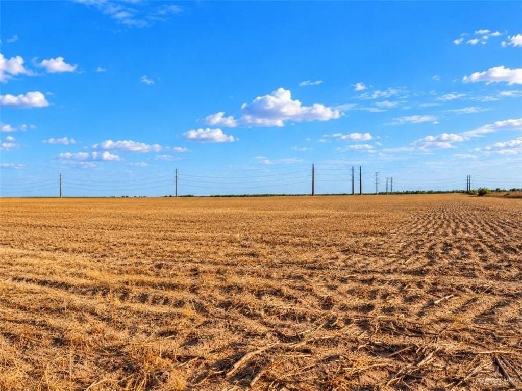 9.66 acres in Hidalgo County - photo 5
