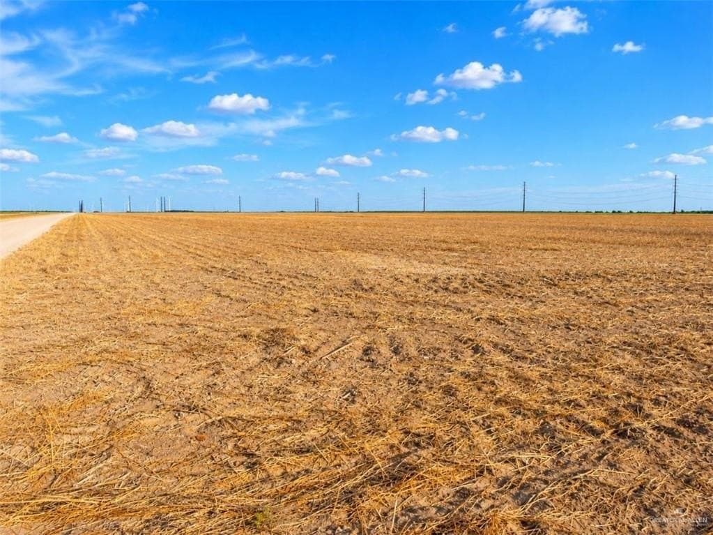 9.66 acres in Hidalgo County - photo 4