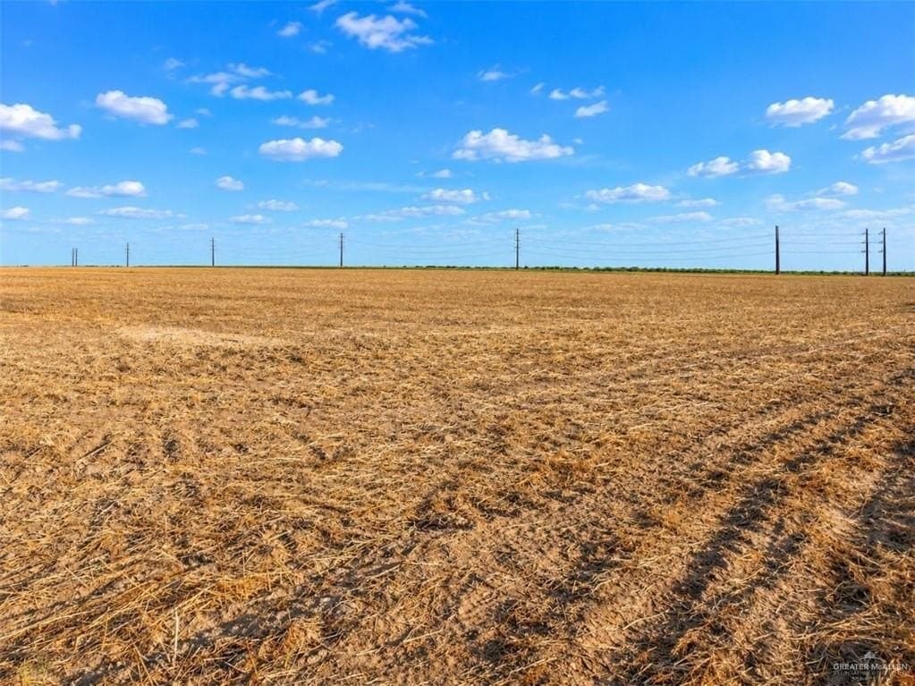 9.66 acres in Hidalgo County - photo 3