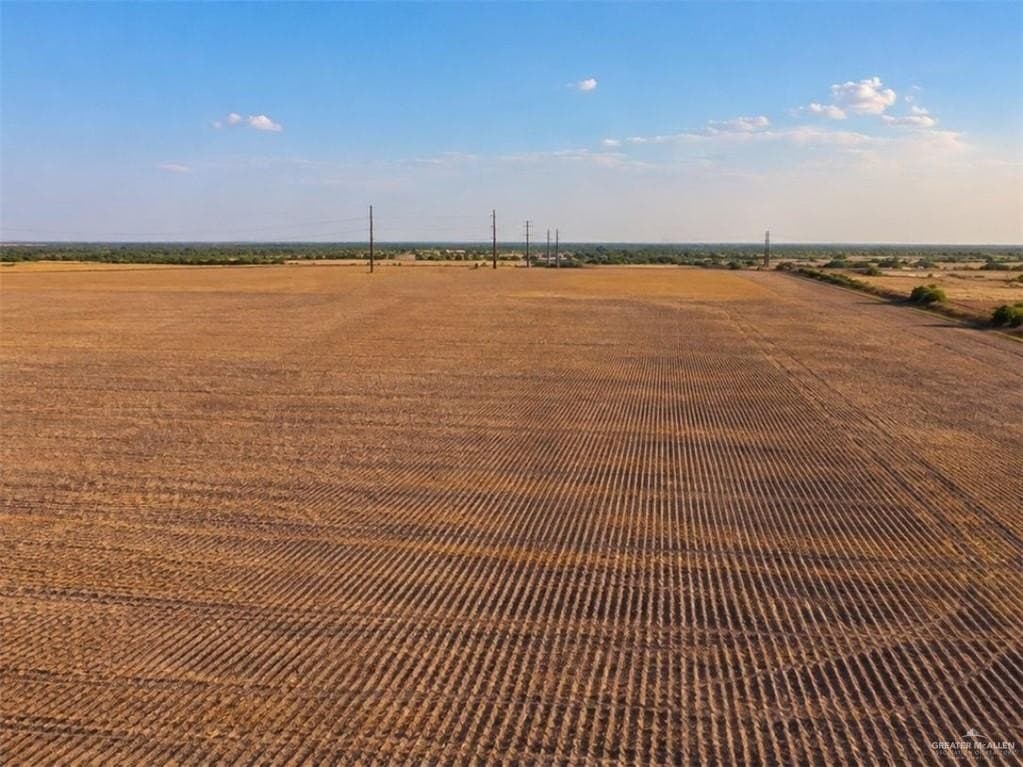 9.66 acres in Hidalgo County - photo 6