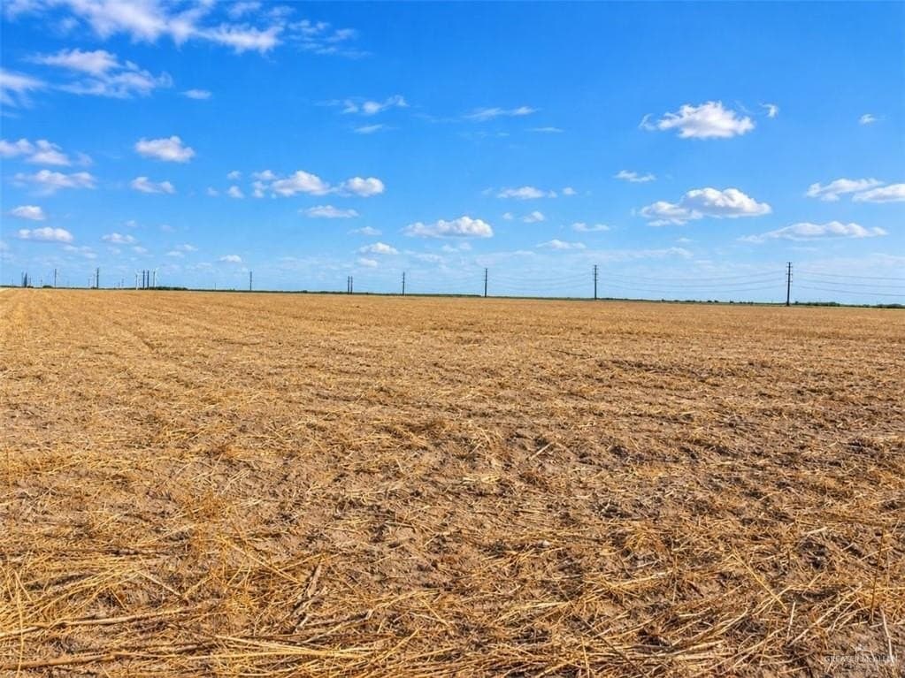 9.66 acres in Hidalgo County - photo 2