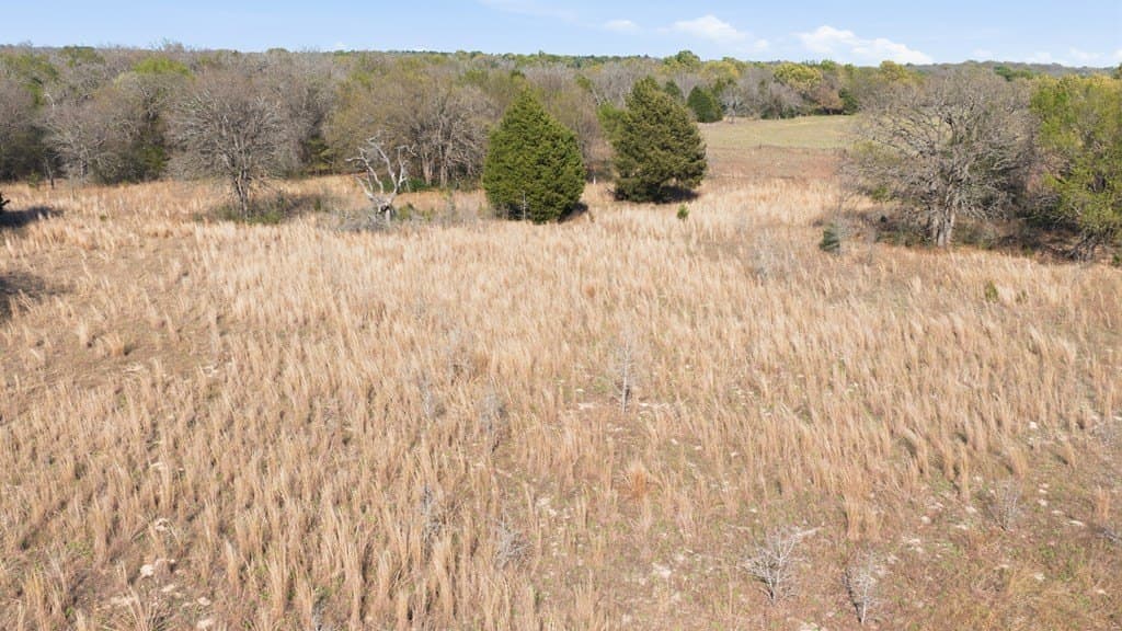 22 acres in Henderson County - photo 7