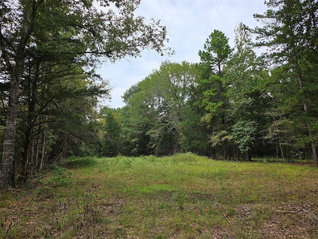 17 acres in Houston County gallery image 3