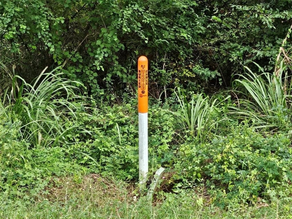 17 acres in Houston County gallery image 4