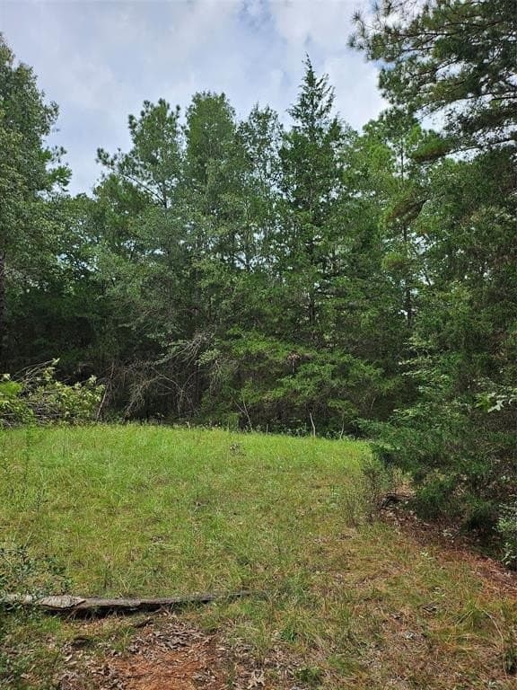 17 acres in Houston County gallery image 2