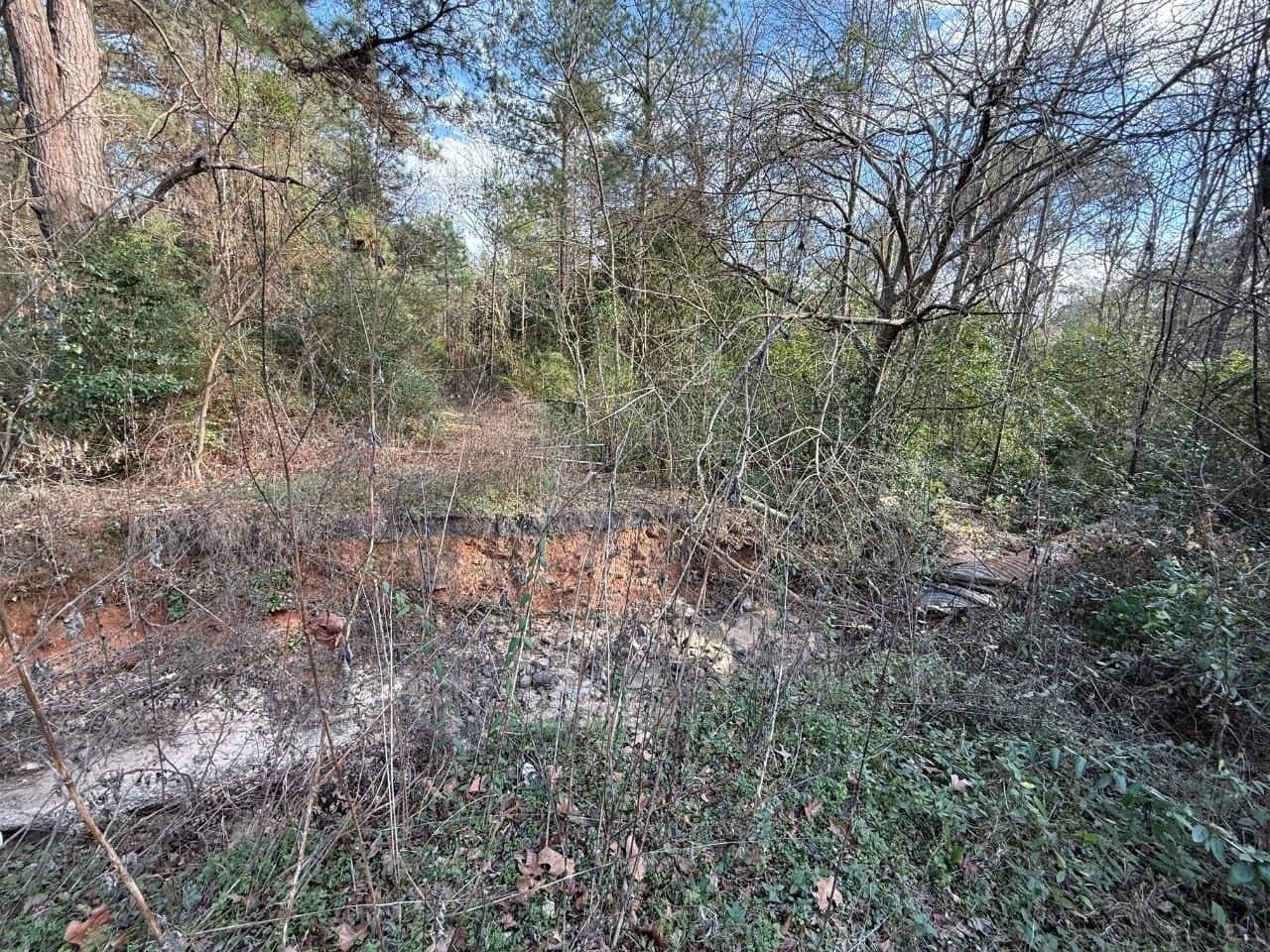 6.8 acres in Texas County - photo 9