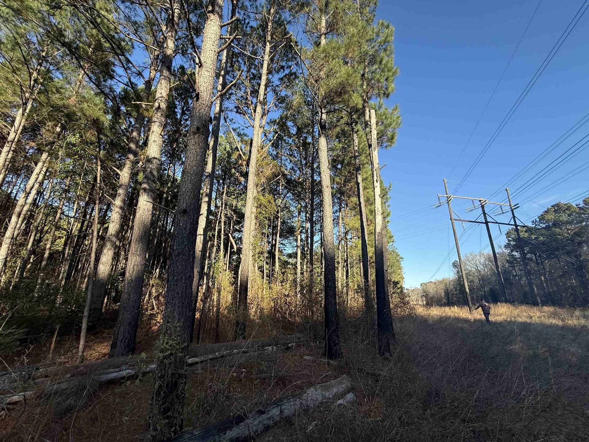 6.8 acres in Texas County - photo 11