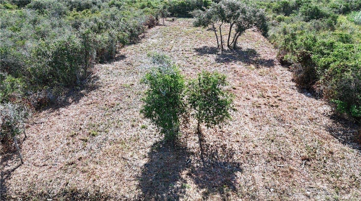 0.16 acres in San Patricio County gallery image 2