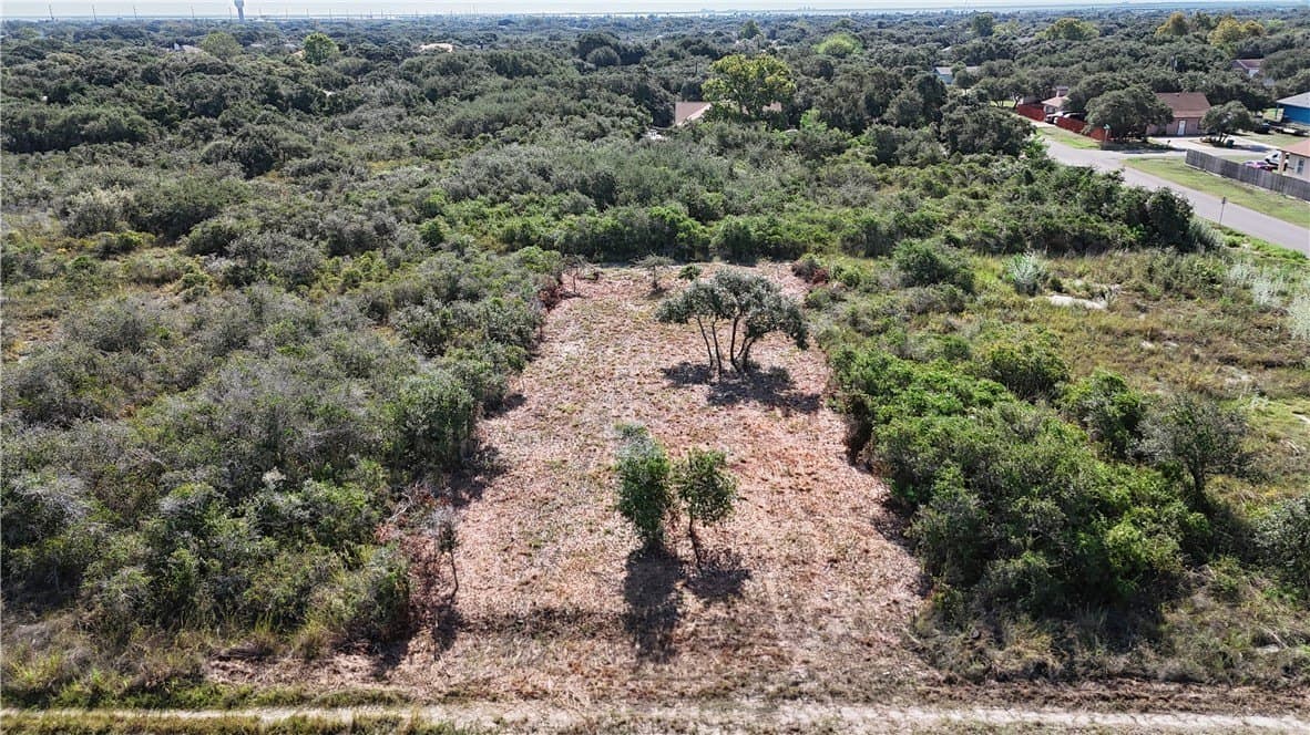 0.16 acres in San Patricio County gallery image 4