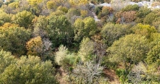 3.98 acres in Smith County - photo 3