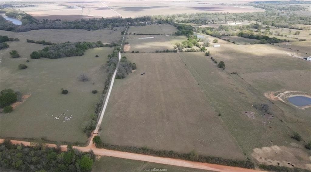 23.24 acres in Milam County gallery image 3