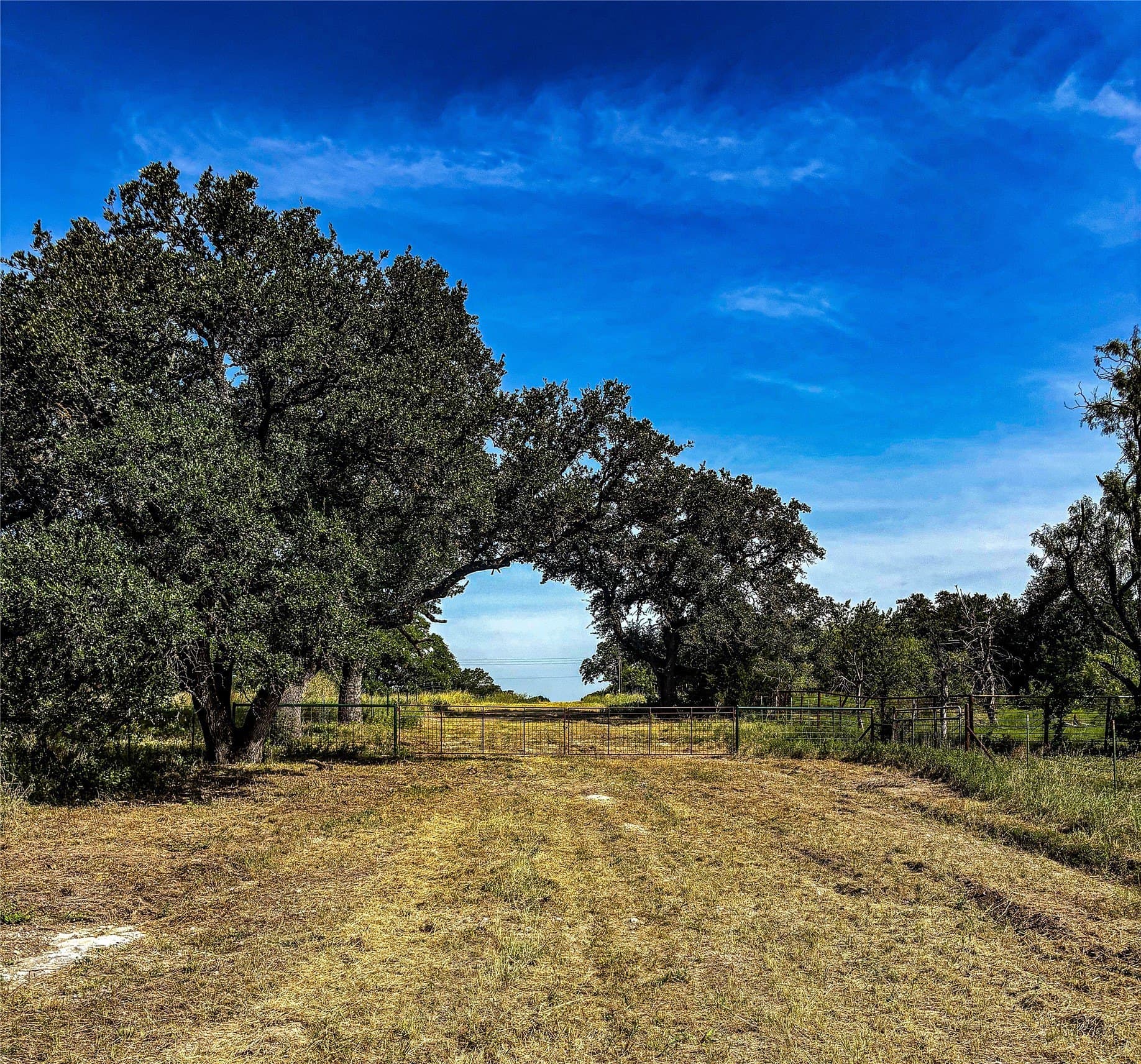 169.98 acres in Hamilton County