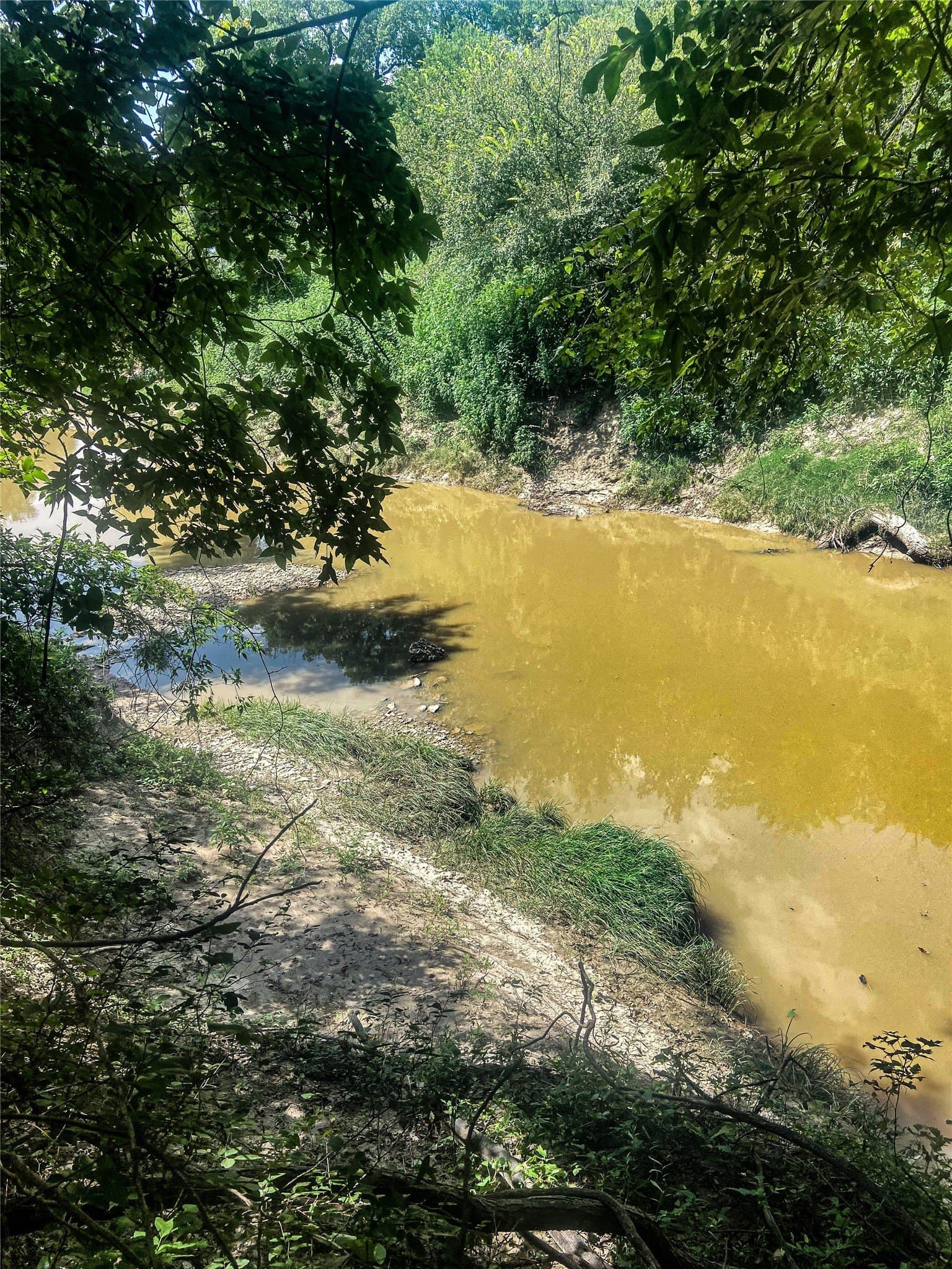 169.98 acres in Hamilton County - photo 14