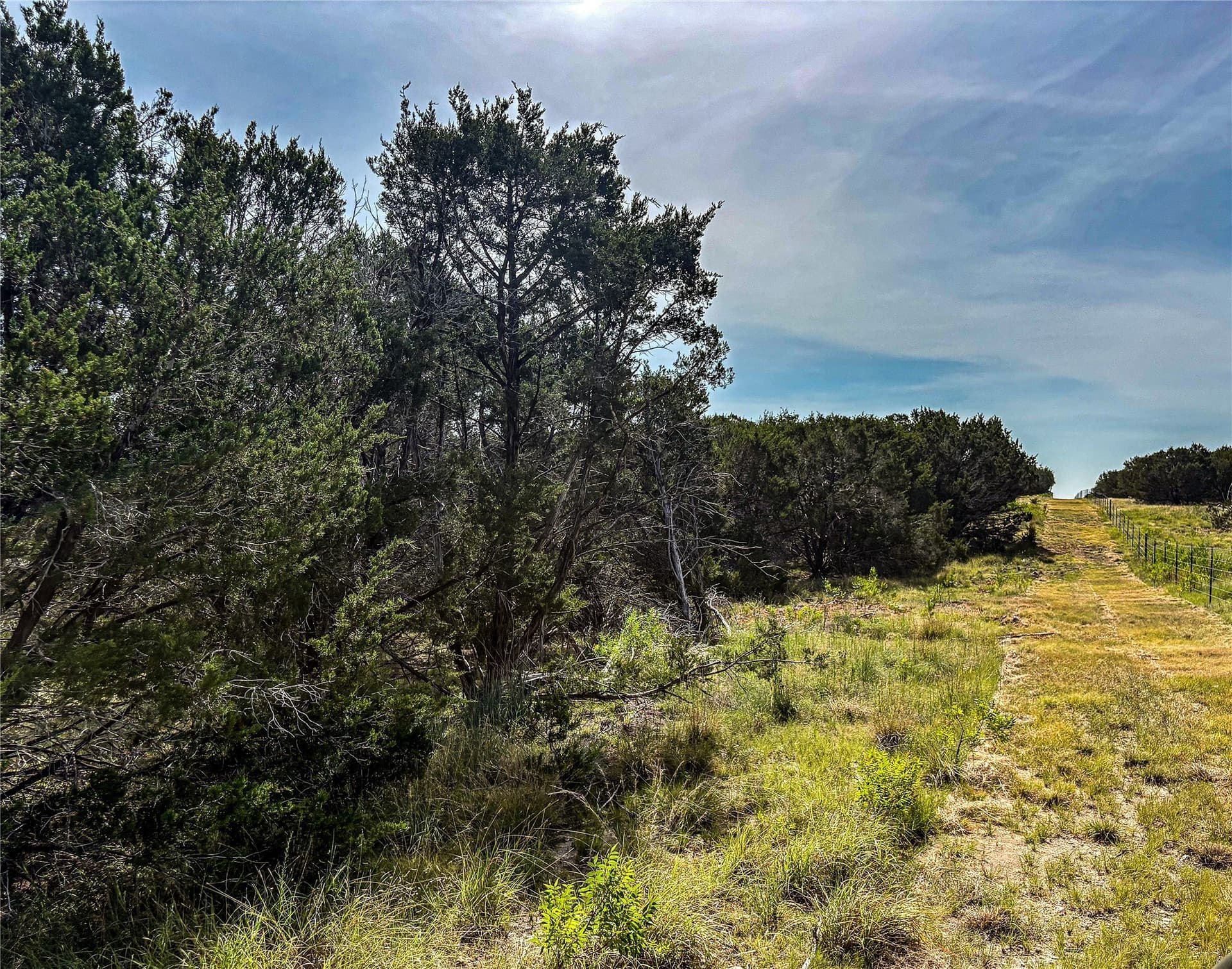 169.98 acres in Hamilton County - photo 13