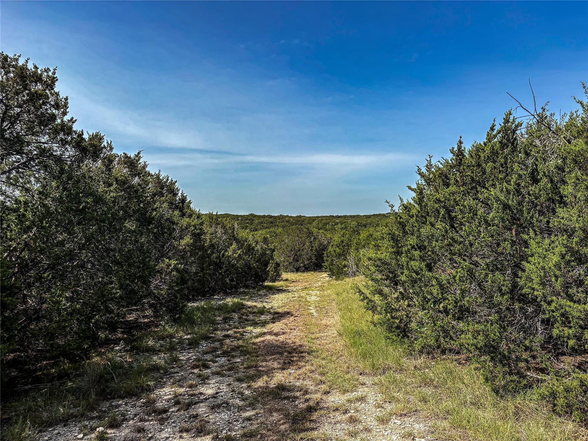 169.98 acres in Hamilton County - photo 10