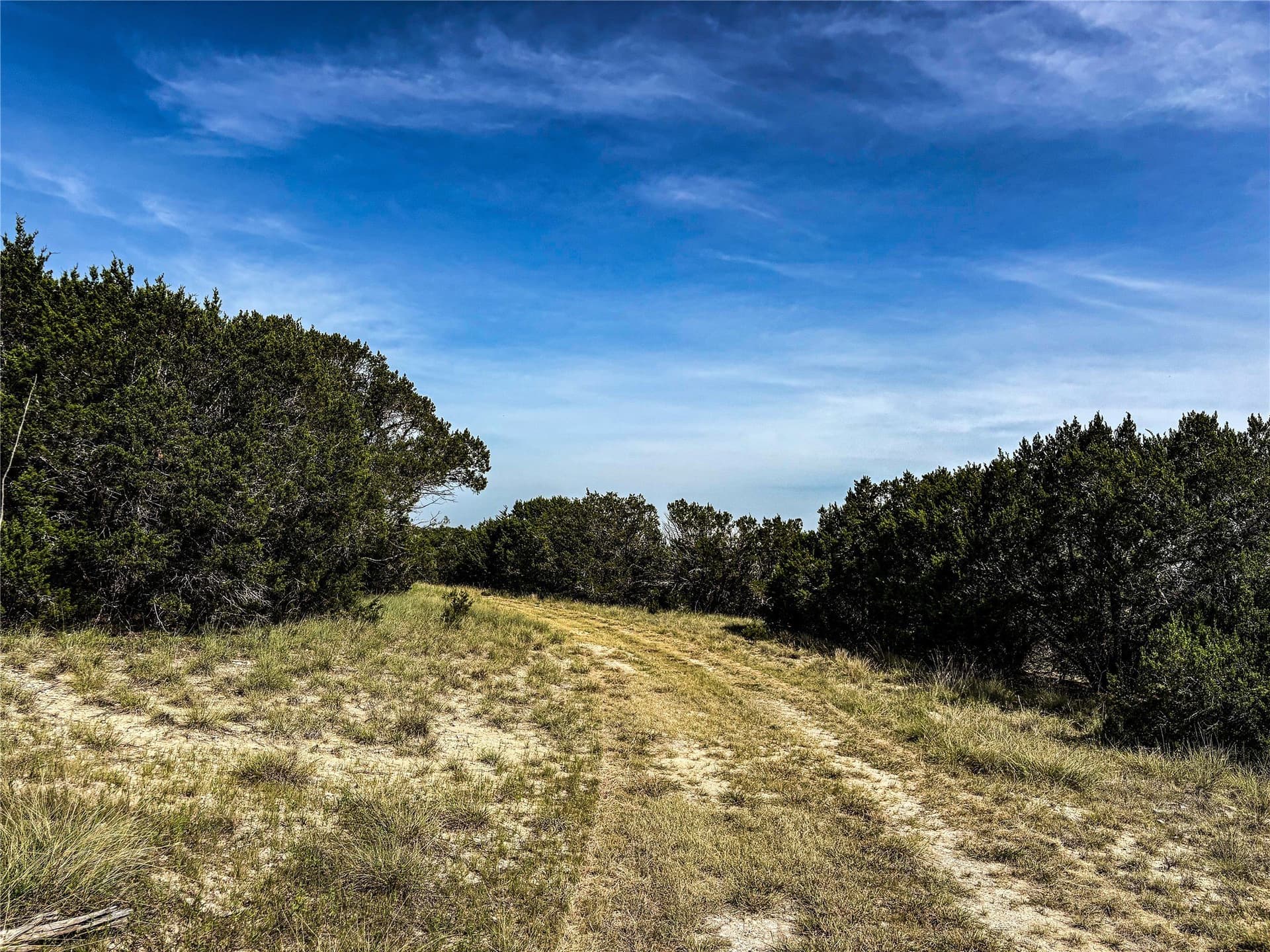 169.98 acres in Hamilton County gallery image 3