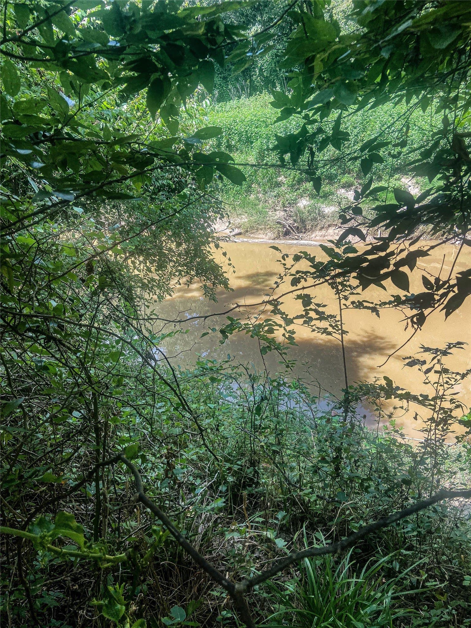 169.98 acres in Hamilton County - photo 16