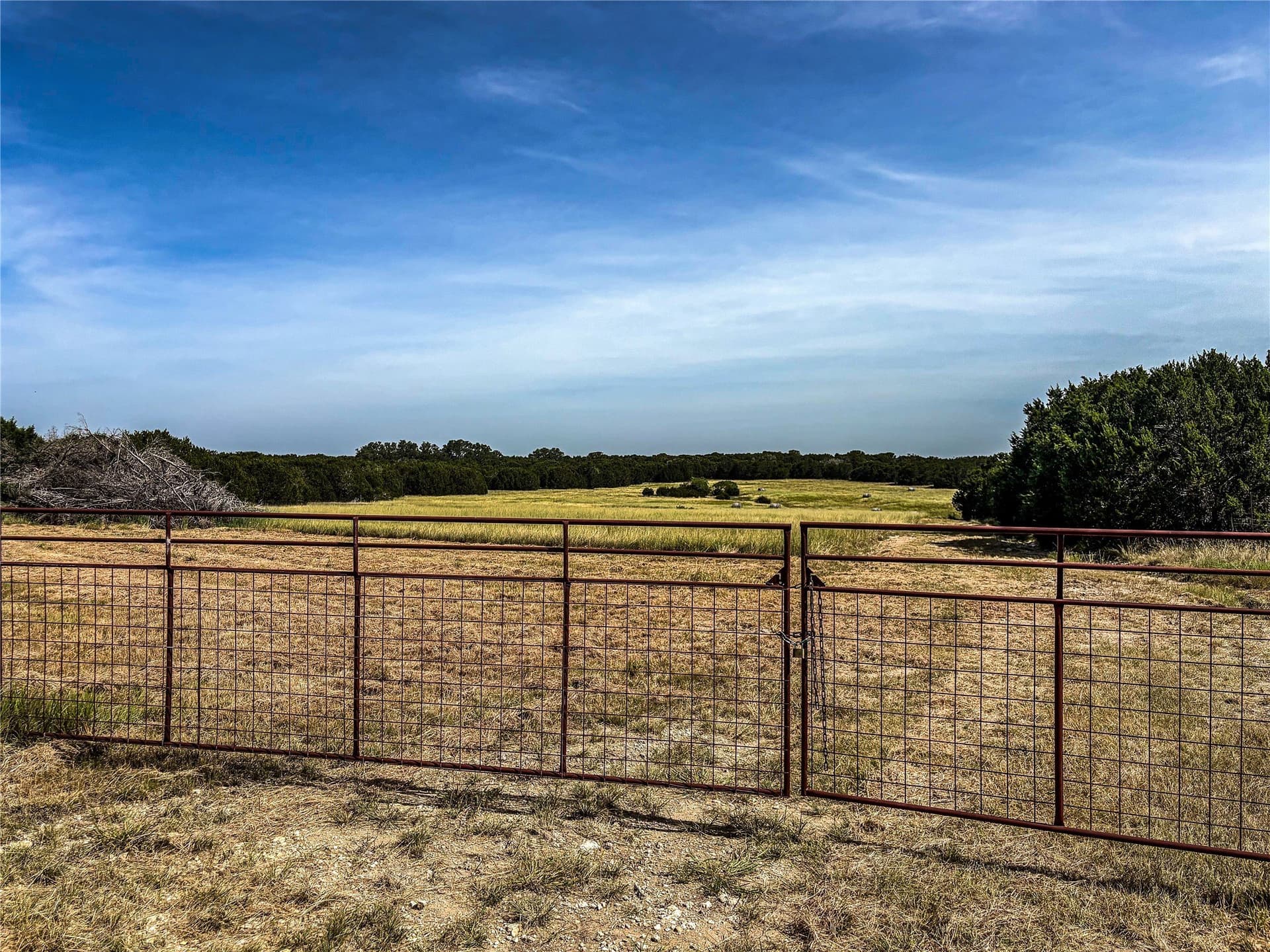 169.98 acres in Hamilton County gallery image 2
