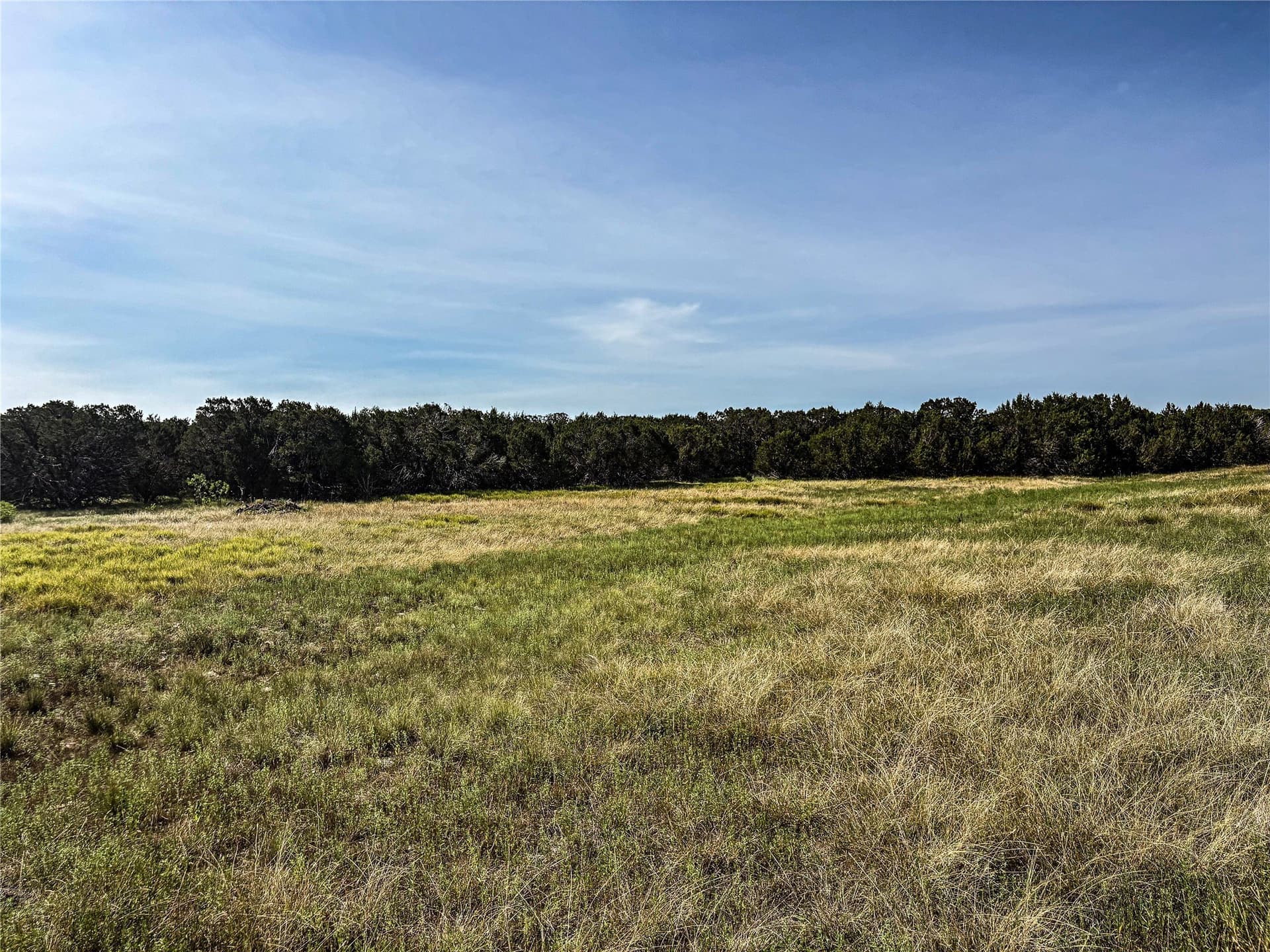 169.98 acres in Hamilton County gallery image 4
