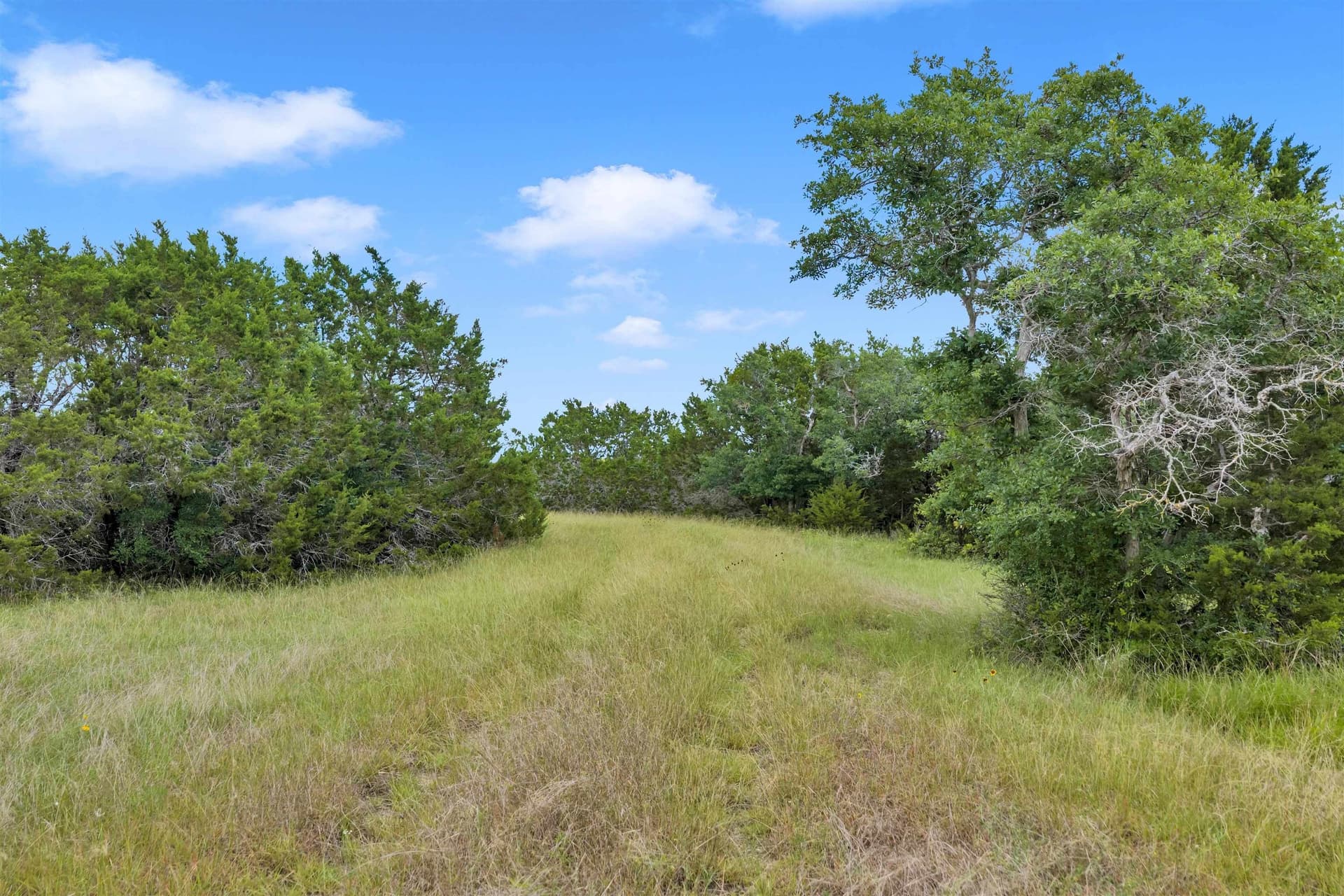 14.88 acres in Burnet County - photo 20