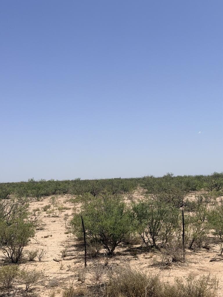 106.09 acres in Pecos County - photo 3