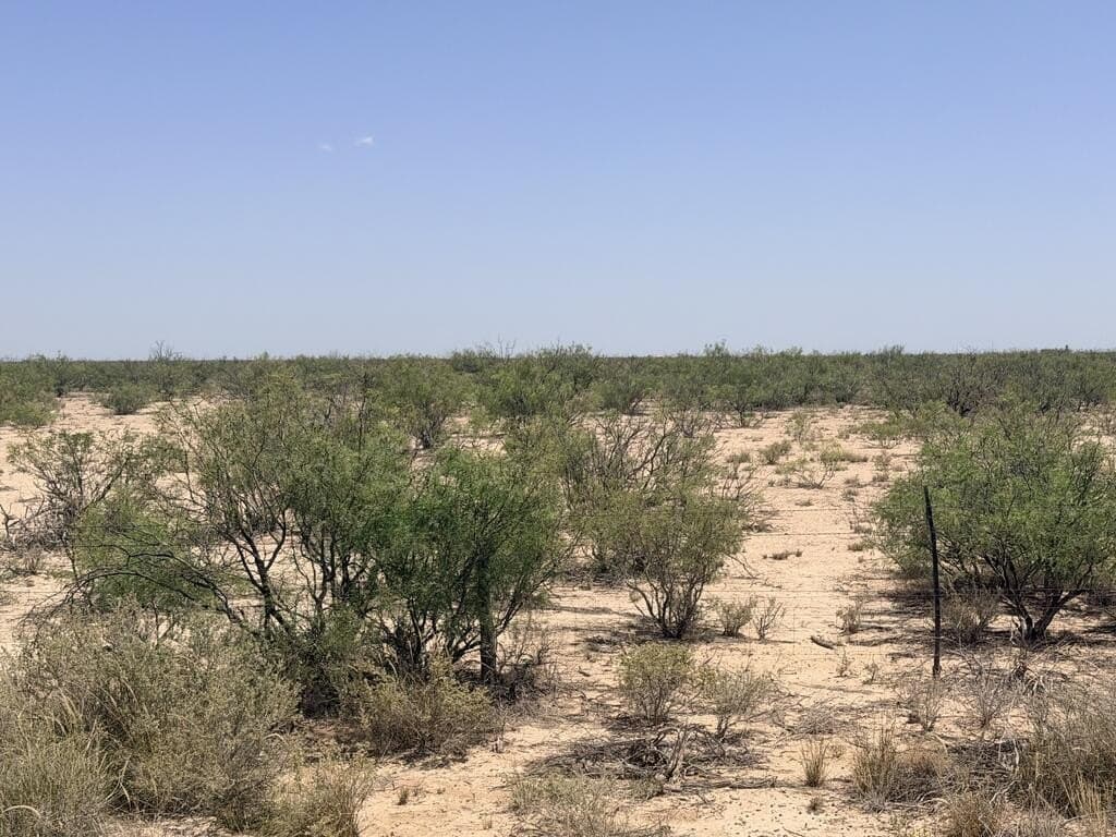 106.09 acres in Pecos County - photo 5