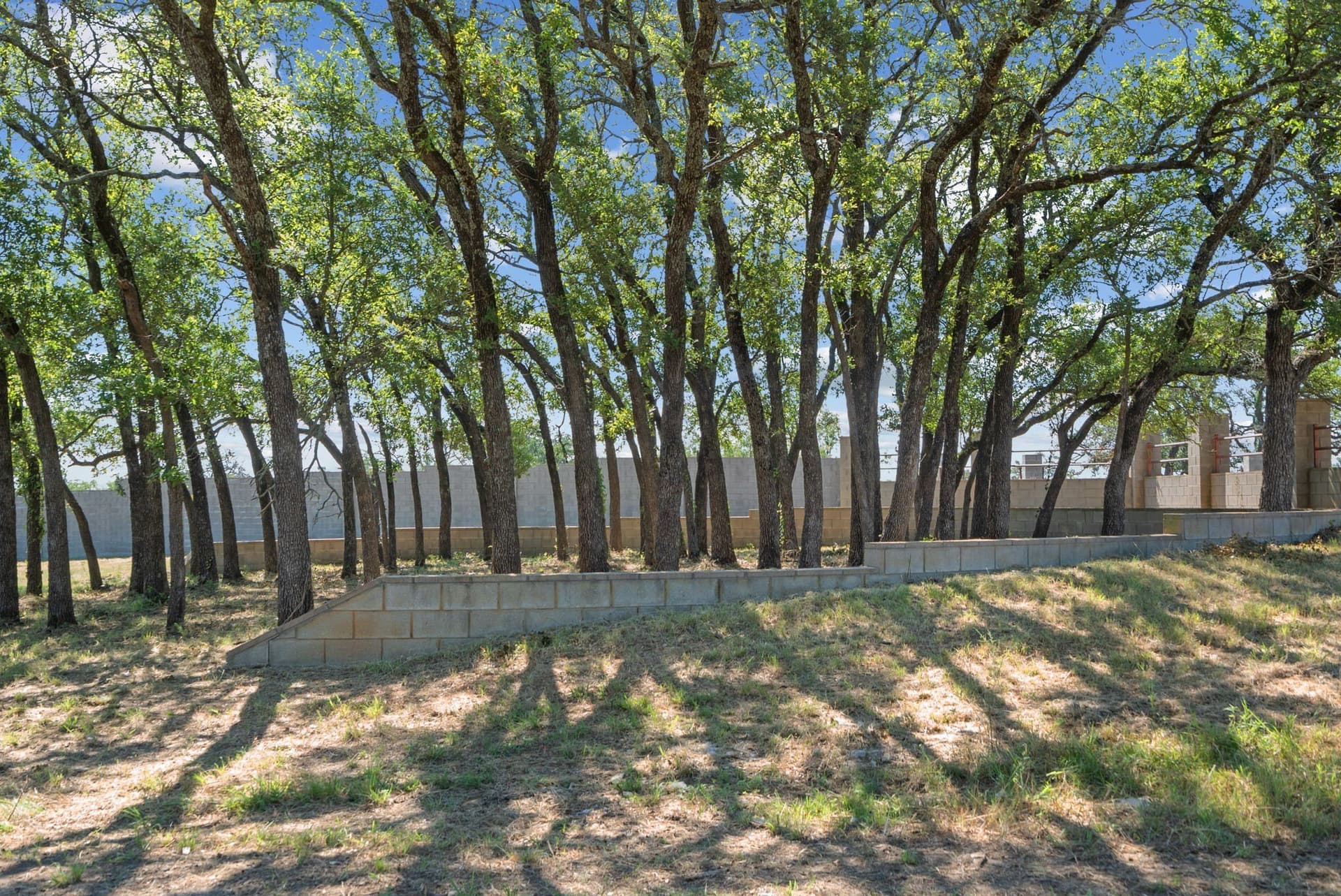 162.56 acres in Erath County - photo 22